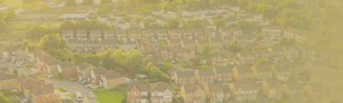 التنمية وخدمة الشأن العام